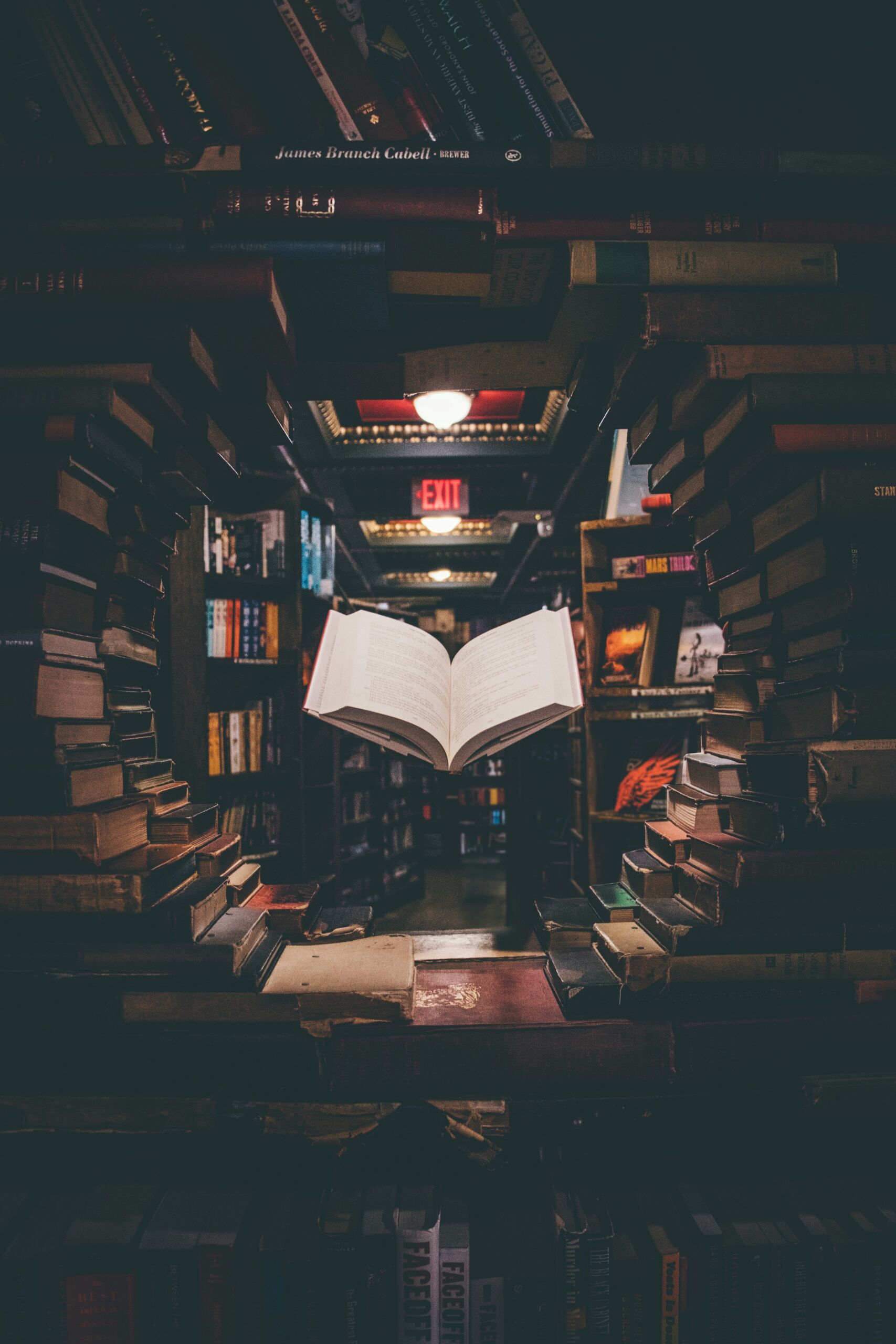 the last bookstore los angeles DTLA
